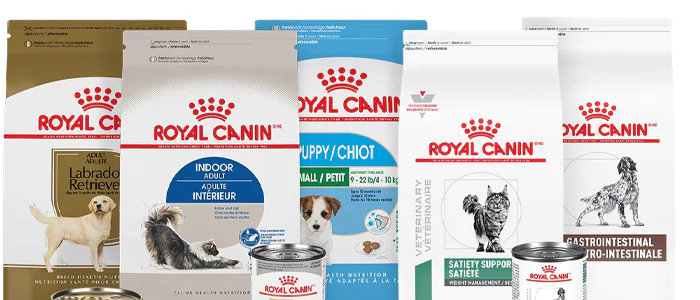 Quanto costano i croccantini Royal Canin