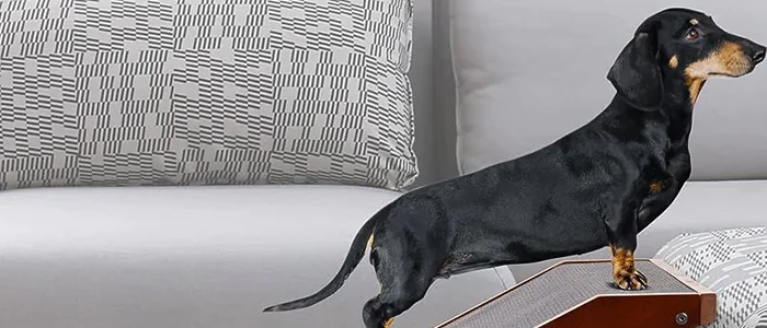Rampa per cani per il divano