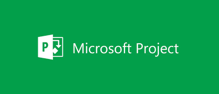 Software project management microsoft