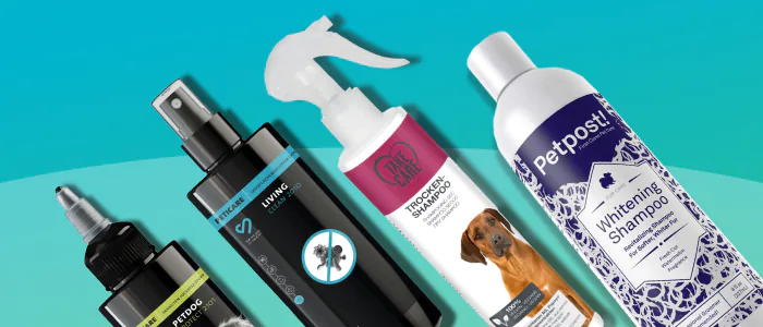 Miglior shampoo per cani per tipologia: Classifica 2023